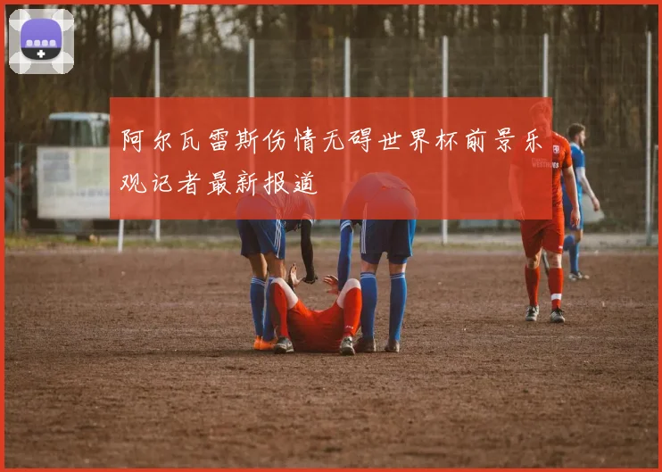 阿尔瓦雷斯伤情无碍世界杯前景乐观记者最新报道