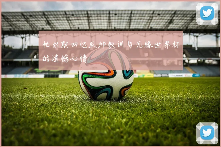 帕尔默回忆瓜帅教训与无缘世界杯的遗憾心情